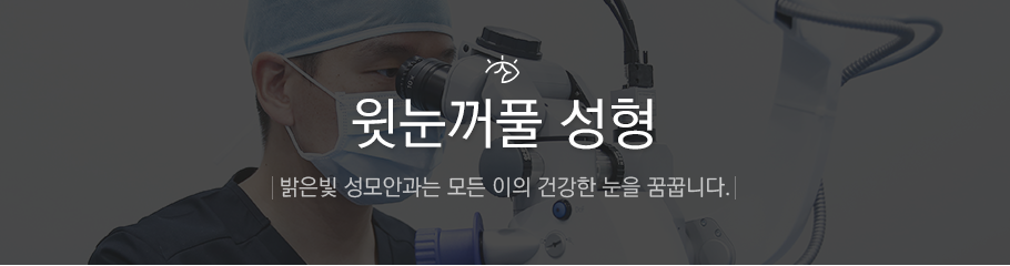 윗눈꺼풀 성형