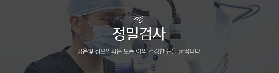 정밀검사