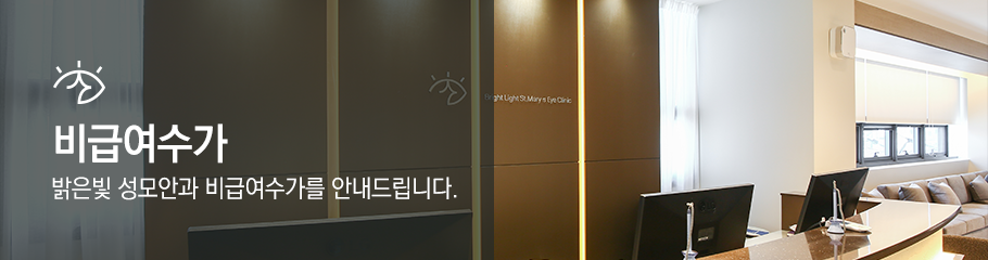 비급여수가