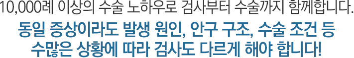 이미지명