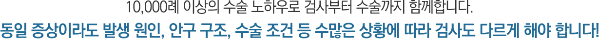 이미지명