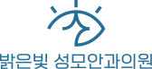 밝은빛성모안과